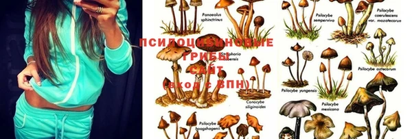 кристаллы Каменногорск