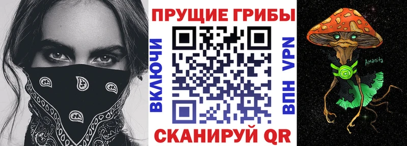 Псилоцибиновые грибы мицелий  продажа наркотиков  Чадан 