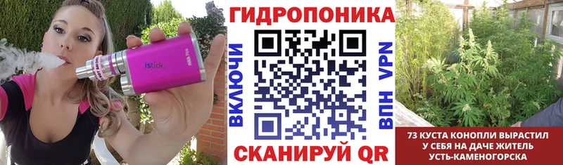 маркетплейс как зайти  Чадан  ОМГ ОМГ сайт  Бошки Шишки ГИДРОПОН  что такое наркотик 